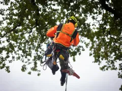 Seilklettertechnik